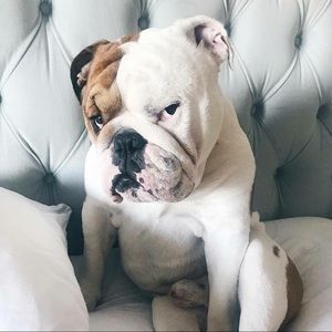 Meet your Posher, Eileen